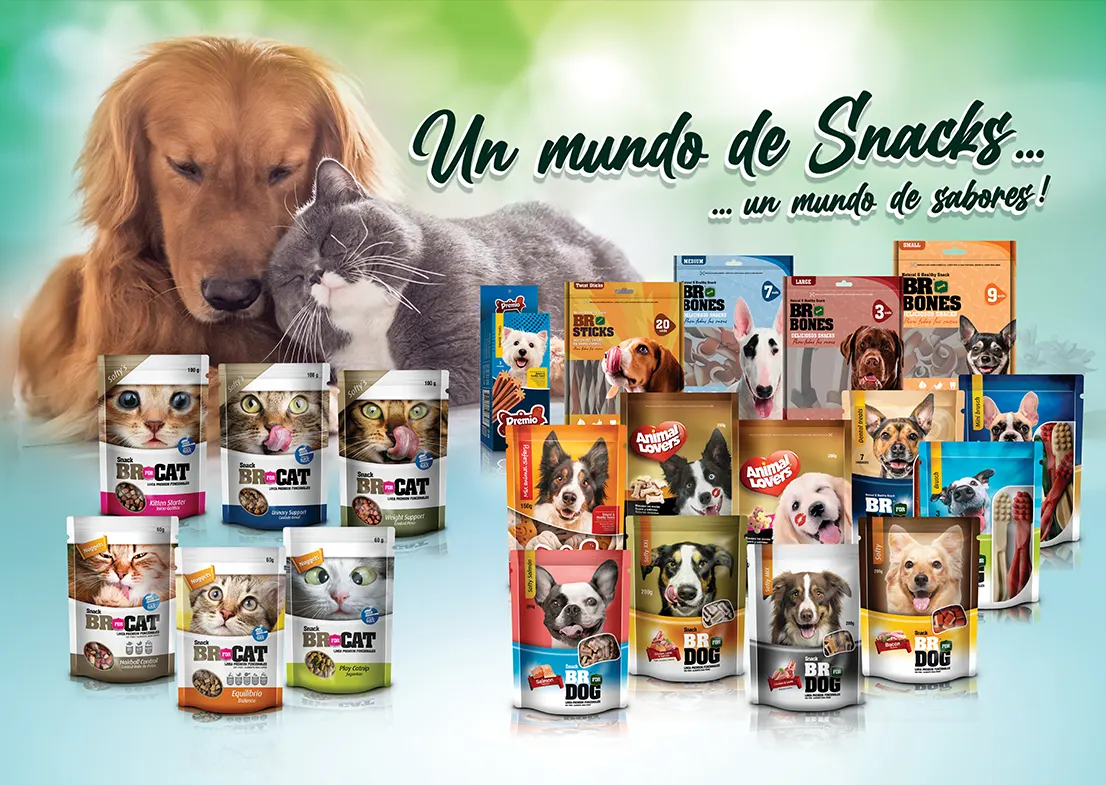 imagen modal