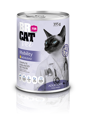 alimento húmedo br for cat vet mobility