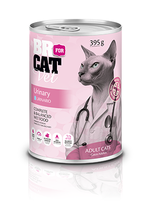 alimento húmedo br for cat vet urinary
