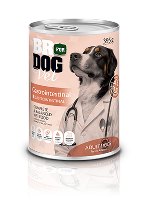 alimento húmedo-br for dog vet gastrointestinal