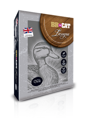 br for cat lasagna duck