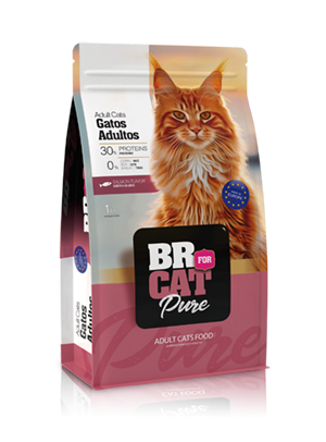br for cat pure adult cats salmon