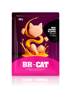 br for cat with chicken in gravy