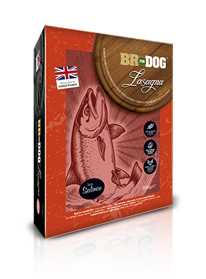 br for dog lasagna salmon