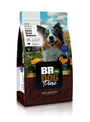 br for dog pure adult medium breeds
