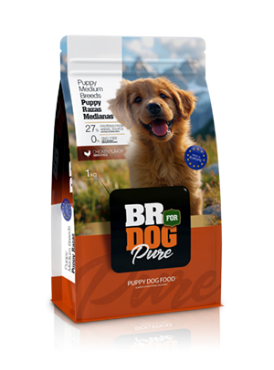 br for dog pure puppy medium breeds