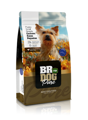 br for dog pure puppy small breeds