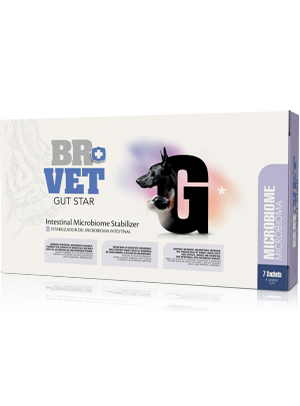 br vet gun star intestinal microbiome stabilizer caja