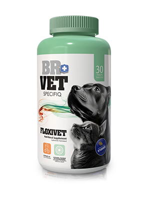 br vet specifiq floxivet
