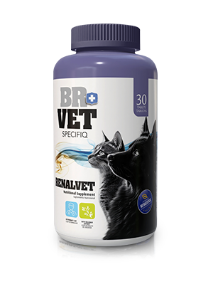 br vet specifiq renalvet