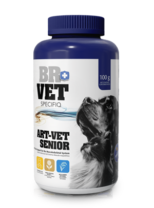 br vet specifiq senior 
