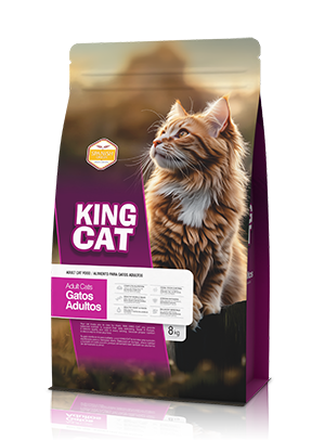 king cat aliemnto adult