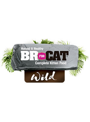 logo-br-for-cat-wild-kitten.png
