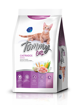 tommy cat castrados